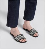 Dway Slide - Image 3